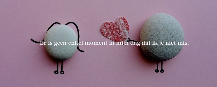 De herinnering aan jou doet mij verdriet en maakt mij blij wetende dat er een volgende keer komt.