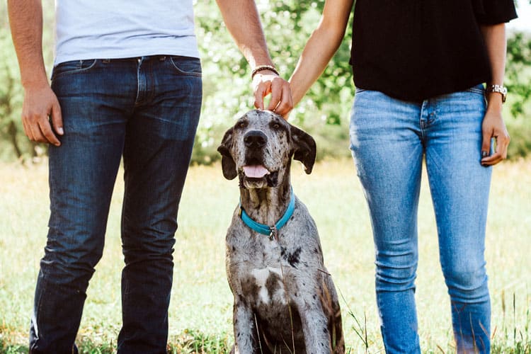 Hond uitlaten tijdens date