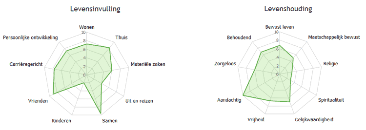 Levensinvulling en levenswaarden